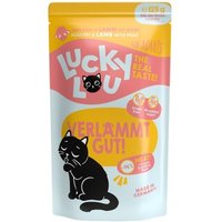 Lucky Lou Nassfutter Katze Adult Geflügel und Lamm 16x125 g Lucky Lou Nassfutter Katze Adult Geflügel und Lamm 16x125 g von Lucky Lou