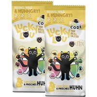 Lucky Lou Trockenfutter Katze Kitten, Food Code, Geflügel & Huhn 2x3 kg Lucky Lou Trockenfutter Katze Kitten, Food Code, Geflügel & Huhn 2x3 kg von Lucky Lou