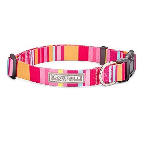 Lucky Love Dog, Summer Stripes Hundehalsband, gelb, rosa, blau, Sommer-Hundehalsband, niedliches Hundehalsband für Mädchen, Jungen, Hunde – (XS, Molly Halsband) von Lucky Love Dog