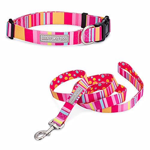 Lucky Love Dog Halsbänder | süße Mädchen-Halsbänder | kleine mittelgroße und große weibliche Halsbänder | Teil des Kaufs an Rettung gespendet (klein, Molly – Combo) von Lucky Love Dog