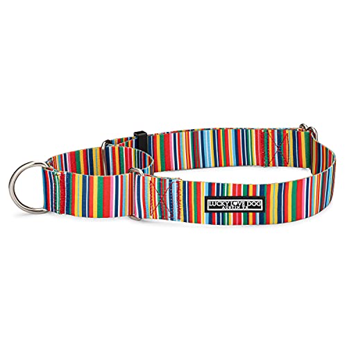 Lucky Love Dog Martingale-Halsband, 3,8 cm breit, rutschfest, ideal für Whippets, Windhunde und mehr (XL, Hippie) von Lucky Love Dog