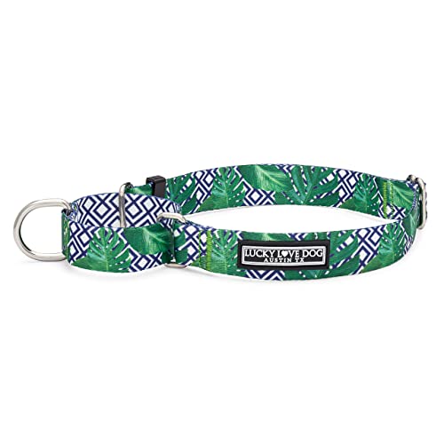 Lucky Love Dog Martingale-Halsband | Premium-rutschfestes Kragen | ideal für Whippets, Windhunde und mehr (blaues Laguna, L) von Lucky Love Dog