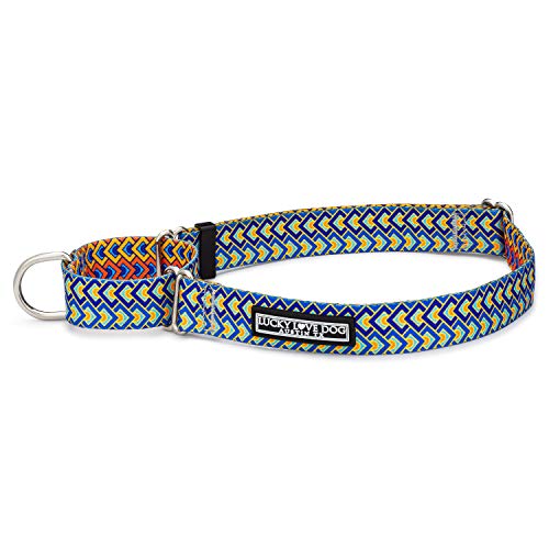 Lucky Love Dog Niedliche Hundehalsbänder für weibliche Hunde in den Größen S, M, L | passendes Halsband mit Leine, Premium, Halsband mit Blumenmuster für Mädchen (klein, Martingale Murphy) von Lucky Love Dog