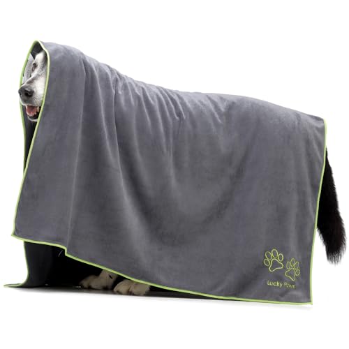 Lucky Paws® Hundehandtuch - 140x100cm Riesengröße Hundehandtuch extra saugfähig luxuriös weiches Hunde Handtuch Hundebesitzer & Hunde Zubehör (1er-Pack Riesengröße, grau) von Lucky Paws