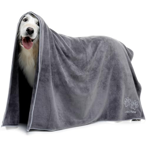 Lucky Paws® Hundehandtuch - 140x100cm Riesengröße Hundehandtuch extra saugfähig luxuriös weiches Hunde Handtuch Hundebesitzer & Hunde Zubehör (1er-Pack Riesengröße, grau/Silber) von Lucky Paws