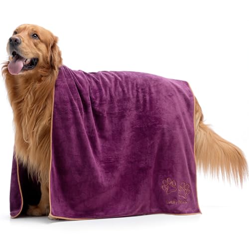 Lucky Paws® Hundehandtuch - 140x70cm XL Hundehandtuch extra saugfähig - schnell trocknend, luxuriös weiches Hunde Handtuch Hundebesitzer und Hunde Zubehör (1er-Pack, Pflaume) von Lucky Paws