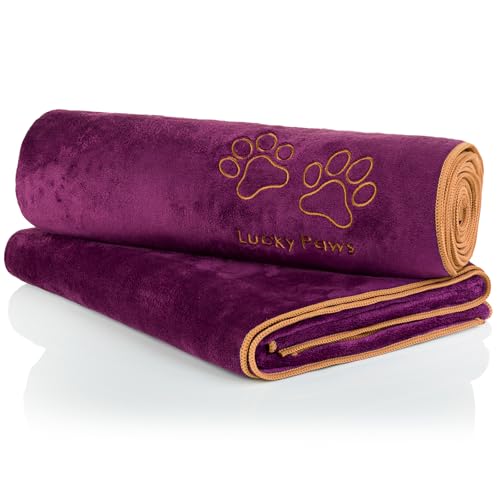 Lucky Paws® Hundehandtuch - 140x70cm XL Hundehandtuch extra saugfähig - schnell trocknend, luxuriös weiches Hunde Handtuch Hundebesitzer und Hunde Zubehör (2er-Pack, Pflaume) von Lucky Paws