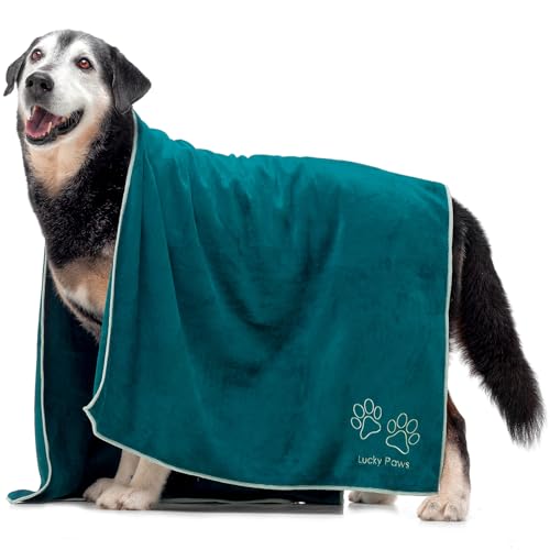 Lucky Paws® Hundehandtuch - 140x70cm XL Hundehandtuch extra saugfähig - schnell trocknend, luxuriös weiches Hunde Handtuch Hundebesitzer und Hunde Zubehör (1er-Pack, Teal) von Lucky Paws