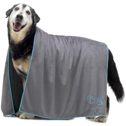 Lucky Paws® Hundehandtuch - 140x70cm XL Hundehandtuch extra saugfähig - schnell trocknend, luxuriös weiches Hunde Handtuch Hundebesitzer & Hunde Zubehör (1er-Pack, grau/türkis) von Lucky Paws