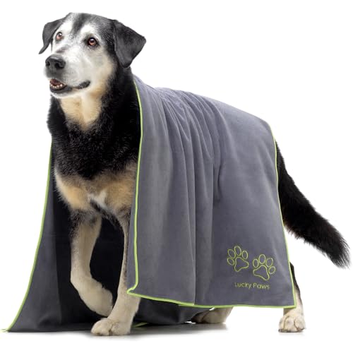 Lucky Paws® Hundehandtuch - 140x70cm XL Hundehandtuch extra saugfähig - schnell trocknend, luxuriös weiches Hunde Handtuch Hundebesitzer und Hunde Zubehör (1er-Pack, grau) von Lucky Paws
