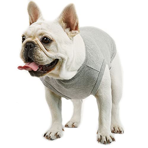 Lucky Petter Ärmelloses Hunde-Tank-Top aus Baumwolle für Hunde, einfarbig, ärmellos, T-Shirts, weich, atmungsaktiv, cooles Hunde-Shirt, Haustierkleidung (groß, grau) von Lucky Petter