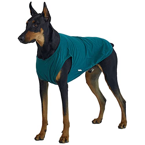 Lucky Petter Ärmelloses Tanktop aus Baumwolle für Hunde, einfarbig, ärmellos, T-Shirt, weich, atmungsaktiv, kühles Hunde-Shirt, Haustierkleidung (2X-Large, Grün) von Lucky Petter