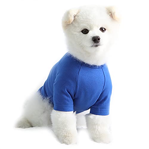 Lucky Petter Haustier-Kleidung für Hunde / Katzen / Welpen, einfarbig, Raglan-T-Shirt, strapazierfähig und elastisch, Größe M, Blau von Lucky Petter