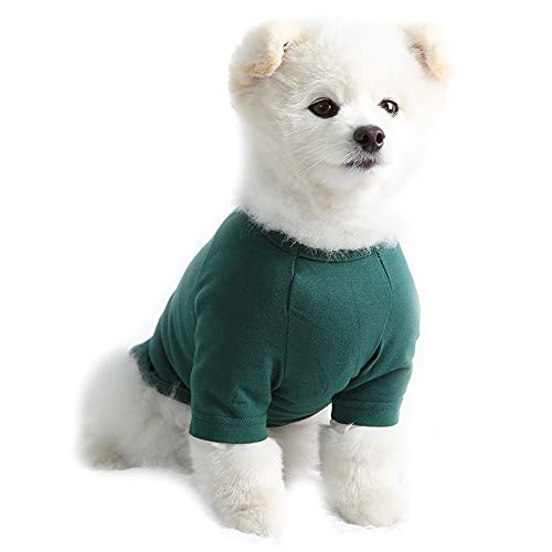 Lucky Petter Haustier-Kleidung für Hunde und Katzen, einfarbig, Raglan-T-Shirt, strapazierfähig und elastisch, Größe L, Grün von Lucky Petter