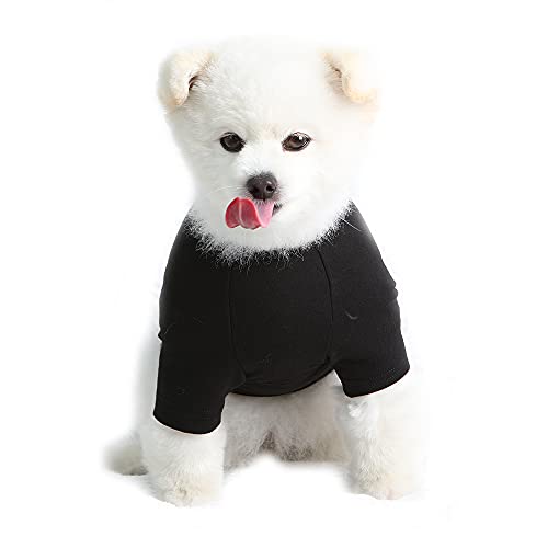 Lucky Petter Haustier-Kleidung für Hunde und Katzen, einfarbig, Raglan-T-Shirt, strapazierfähig und elastisch, Hunde-Shirt, Bekleidung Outfits (XS, schwarz) von Lucky Petter