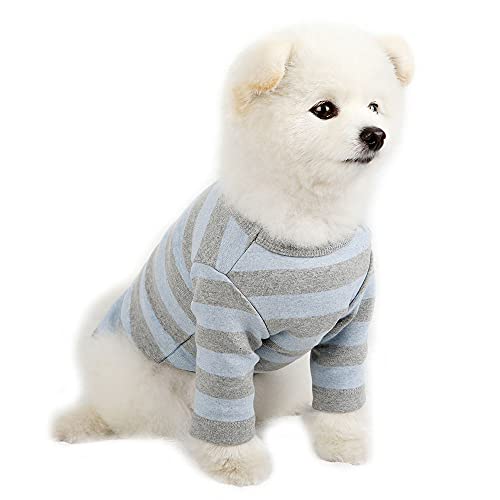 Lucky Petter Haustier-Kleidung für Hunde und Katzen, gestreift, strapazierfähiges und elastisches Hunde-Shirt, Kleidung, Outfits (klein, blau/grau) von Lucky Petter