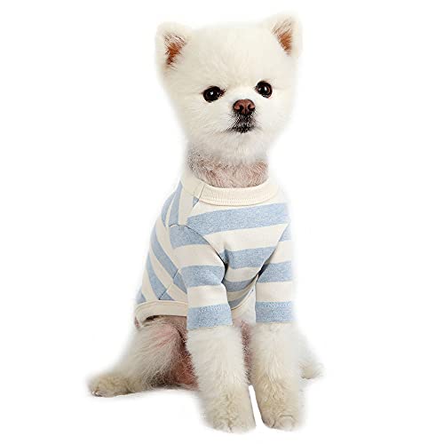 Lucky Petter Haustier-Kleidung für Hunde und Katzen, gestreift, strapazierfähiges und elastisches Hunde-Shirt, Kleidung (klein, elfenbeinfarben/blau) von Lucky Petter