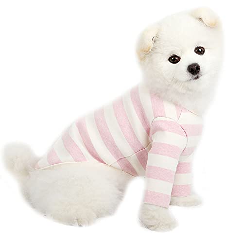 Lucky Petter Haustier-Kleidung für Hunde und Katzen, gestreiftes T-Shirt, strapazierfähig und elastisch, für Hunde, XS, Elfenbein/Rosa von Lucky Petter