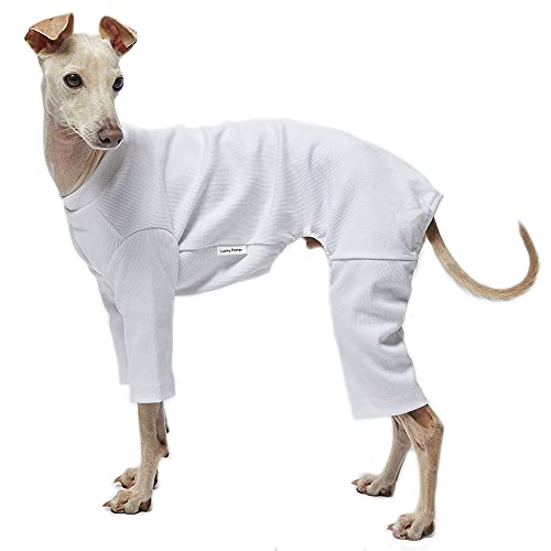 Lucky Petter Haustier-Kleidung für Hunde und Katzen, langlebig, elastisch, Größe M, Weiß von Lucky Petter