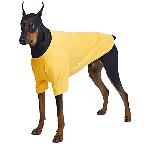 Lucky Petter Hundeshirt für kleine Hunde, einfarbig, T-Shirts, weich, atmungsaktiv, Hunde-Baumwolle, Haustierkleidung (5XL, Gelb) von Lucky Petter