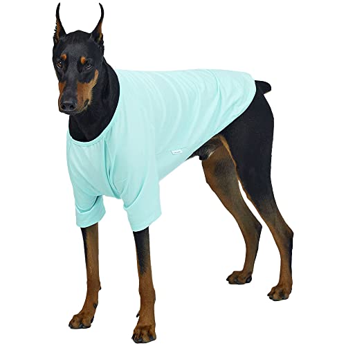 Lucky Petter Hundeshirt für kleine Hunde, einfarbig, T-Shirts, weich, atmungsaktiv, Hunde-Baumwolle, Haustierkleidung (5XL, Mint) von Lucky Petter