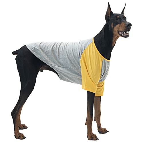 Lucky Petter Hundeshirt für kleine und große Hunde, Raglan-Baumwolle, T-Shirts, weich, atmungsaktiv, Hunde-Shirts, Haustierkleidung, Grau-Serie (2X-Large, Grau/Gelb) von Lucky Petter