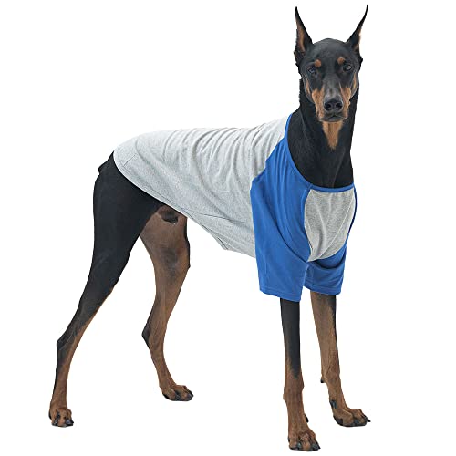 Lucky Petter Hundeshirt für kleine und große Hunde, Raglan-Baumwolle, T-Shirts, weich, atmungsaktiv, Hunde-Shirts, Haustierkleidung, Grau-Serie (4X-Large, Grau/Blau) von Lucky Petter