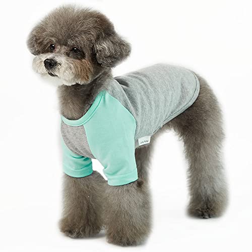 Lucky Petter Hundeshirt für kleine und große Hunde, Raglan-Baumwolle, T-Shirts, weich, atmungsaktiv, Hunde-Shirts, Haustierkleidung, Grau-Serie (Medium, Grau/Mint) von Lucky Petter