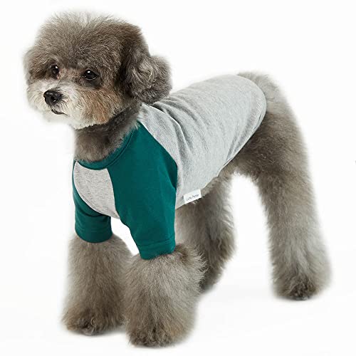 Lucky Petter Hundeshirt für kleine und große Hunde, Raglan-Baumwolle, T-Shirts, weich, atmungsaktiv, Hunde-Shirts, Haustierkleidung, graue Serie (Medium, Grau/Grün) von Lucky Petter