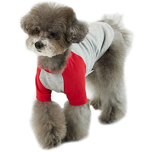 Lucky Petter Hundeshirt für kleine und große Hunde Raglan Baumwolle T-Shirts Weich Atmungsaktiv Hundeshirts Haustierkleidung Grau Serie (Klein, Grau/Rot) von Lucky Petter