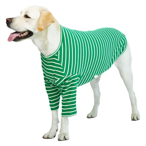 Lucky Petter Neu Gestreiftes Hundeshirt für kleine große Hunde T-Shirt weich atmungsaktiv Hund Baumwollhemd Basic Shirts (XXX-Large, Grün/Weiß) von Lucky Petter