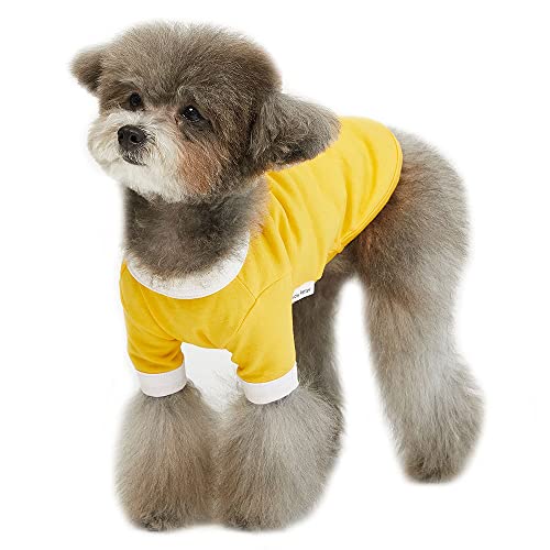 Lucky Petter Ringer Hunde-Shirt für kleine und große Hunde, Baumwolle, T-Shirts, weich, atmungsaktiv, Hunde-Shirts, Haustierkleidung (Medium, Gelb/Weiß) von Lucky Petter