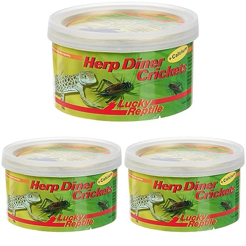 Herp Diner - Crickets groß 35 g, ca. 60 große gekochte Grillen (Packung mit 3) von Lucky Reptile
