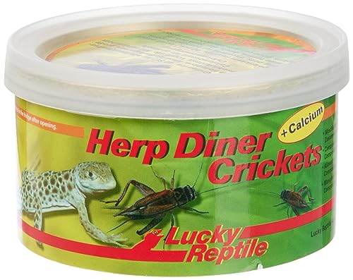 Herp Diner - Crickets groß 35 g, ca. 60 große gekochte Grillen von Lucky Reptile