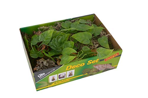 Life Experience Deco Set für kleine Nano-Terrarien von Lucky Reptile