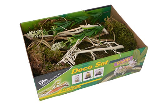 Life Experience Deco Set für kleine Nano-Terrarien von Lucky Reptile