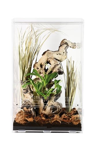 Lucky Reptile LifeTarrium, Größe:15 x 15 x 25 cm von Lucky Reptile
