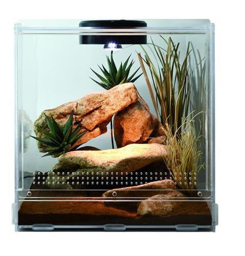Lucky Reptile LifeTarrium, Größe:30 x 30 x 30 cm von Lucky Reptile