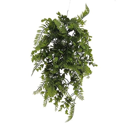 Lucky Reptile Hängepflanze Tropical Mix Bush, Länge:40 cm von Lucky Reptile