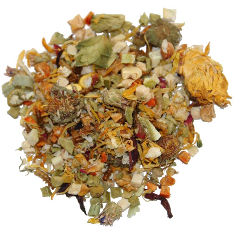 Lucky Reptile Bearded Dragon Mix Adult - 35 g von Lucky Reptile