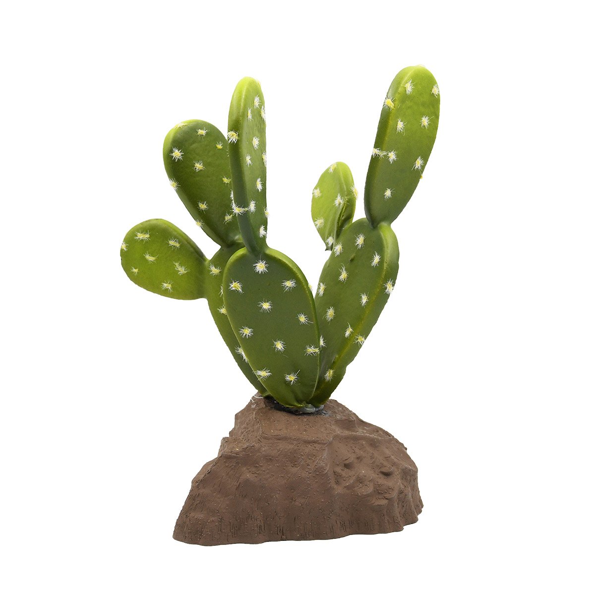 Lucky Reptile Biberschwanzkaktus 15 cm von Lucky Reptile