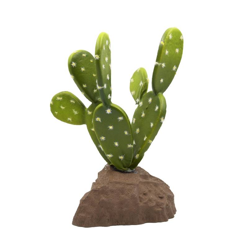 Lucky Reptile Biberschwanzkaktus 15 cm von Lucky Reptile