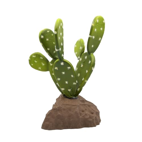 Lucky Reptile Biberschwanzkaktus Lucky Reptile Biberschwanzkaktus von Lucky Reptile