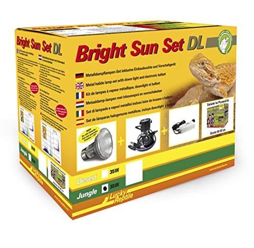 Lucky Reptile Bright Sun Set DL Jungle - 35 W Metalldampflampe inklusive Einbauleuchte & Vorschaltgerät - Reptilien Lampe mit Tageslichtspektrum - Terrarium Zubehör - UV-Set in weiß 1 Stück (1er Pack) von Lucky Reptile
