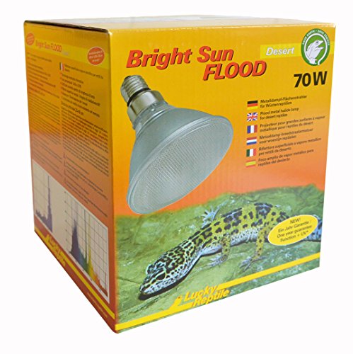 Lucky Reptile Bright Sun UV Desert Flood von Lucky Reptile