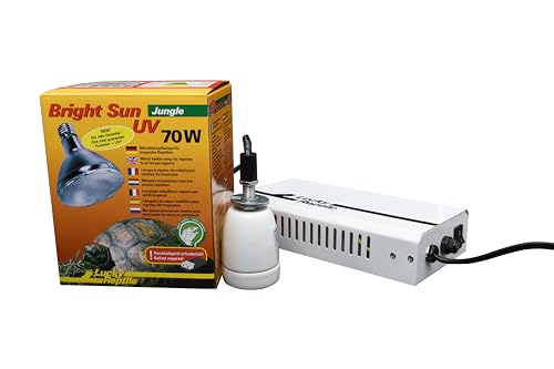 Lucky Reptile Bright Sun UV Jungle Komplettset - 50 W Metalldampflampe inklusive Fassung & Vorschaltgerät - Reptilien Wärmelampe mit hitzebeständiger Keramikfassung - Terrarium Zubehör, 1 Stück (1er Pack) von Lucky Reptile