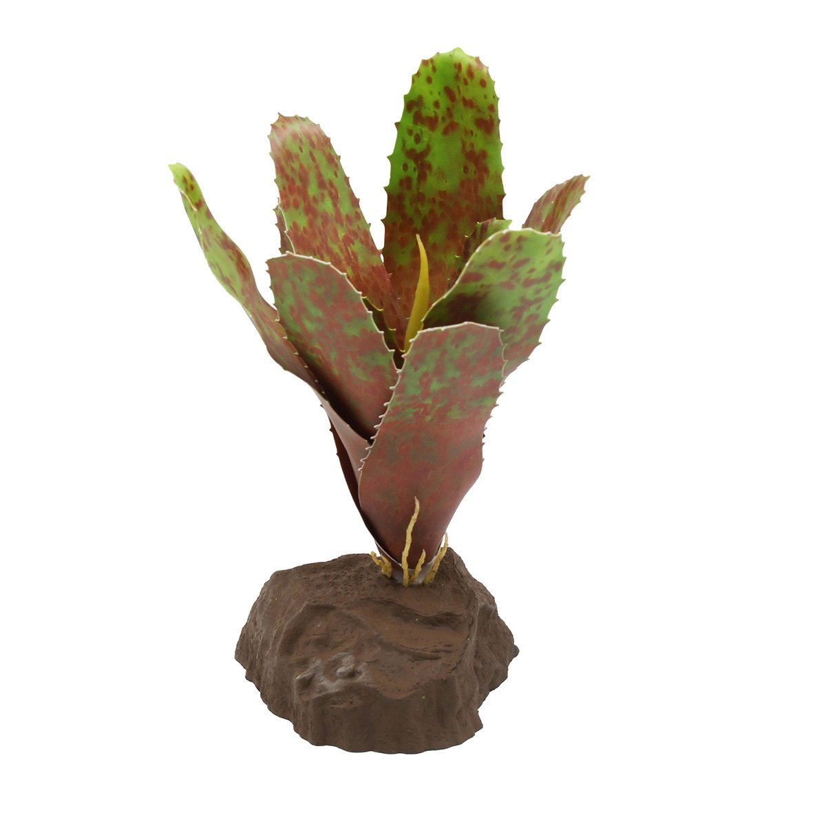 Lucky Reptile Bromelie Neoregelia grün 20 cm Lucky Reptile Bromelie Neoregelia grün 20 cm von Lucky Reptile