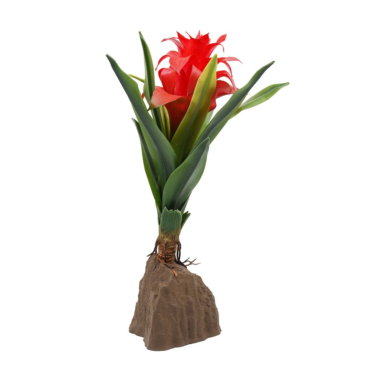 Lucky Reptile Bromelie Pflanze groß rot 30 cm Lucky Reptile Bromelie Pflanze groß rot 30 cm von Lucky Reptile