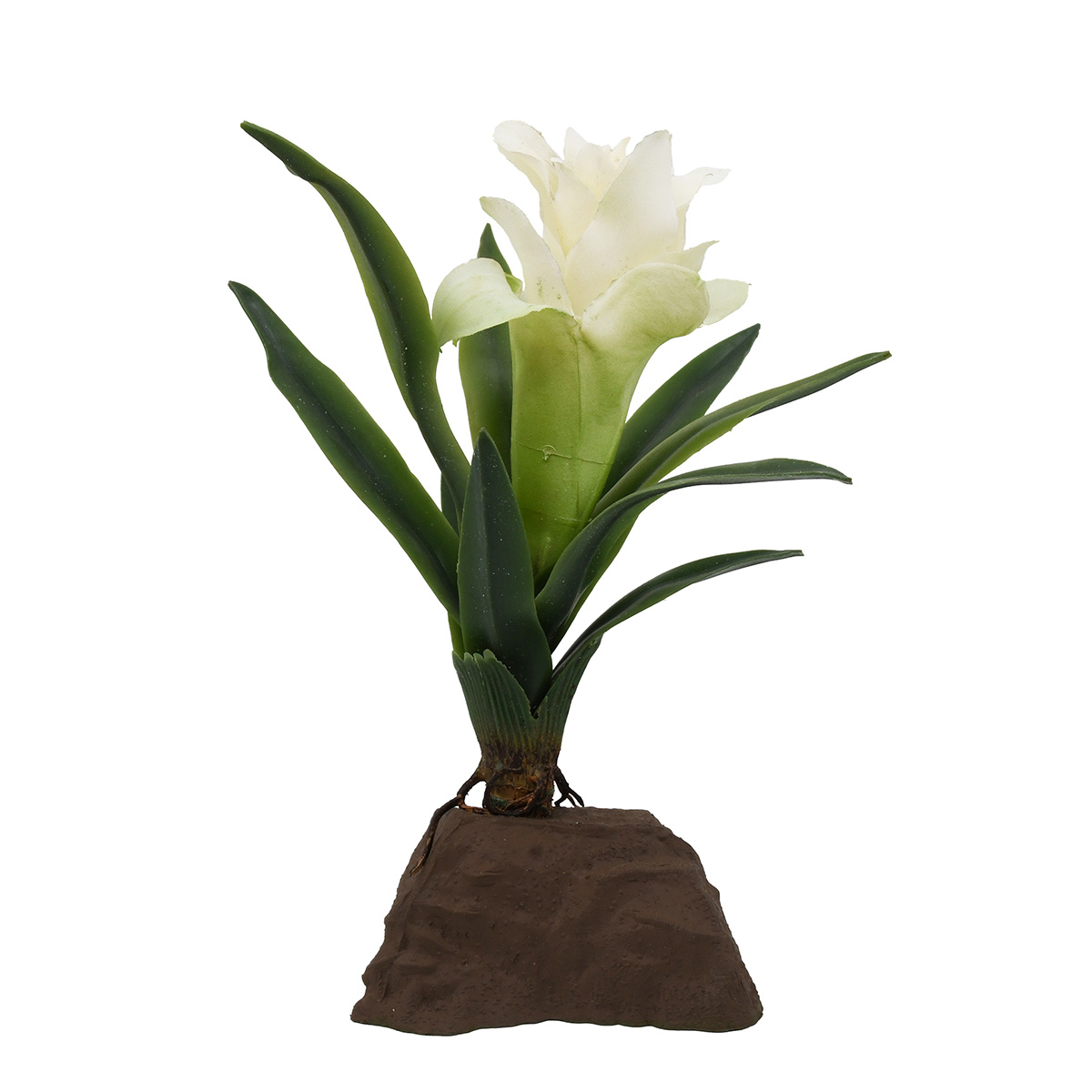 Lucky Reptile Bromelie Pflanze klein weiß 20 cm Lucky Reptile Bromelie Pflanze klein weiß 20 cm von Lucky Reptile