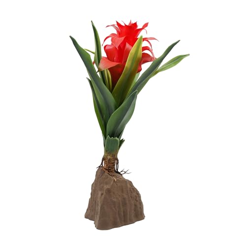 Lucky Reptile Bromelie groß rot Lucky Reptile Bromelie groß rot von Lucky Reptile